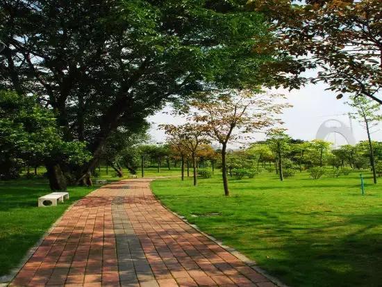 广州地铁景点最多的线路,广州地铁沿线有哪些好玩的