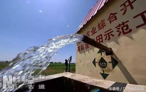 农业产业化项目有哪些政策支持,农业综合开发产业化项目