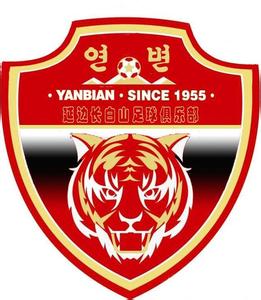 中超16支球队老板是谁,中超各队背后的企业