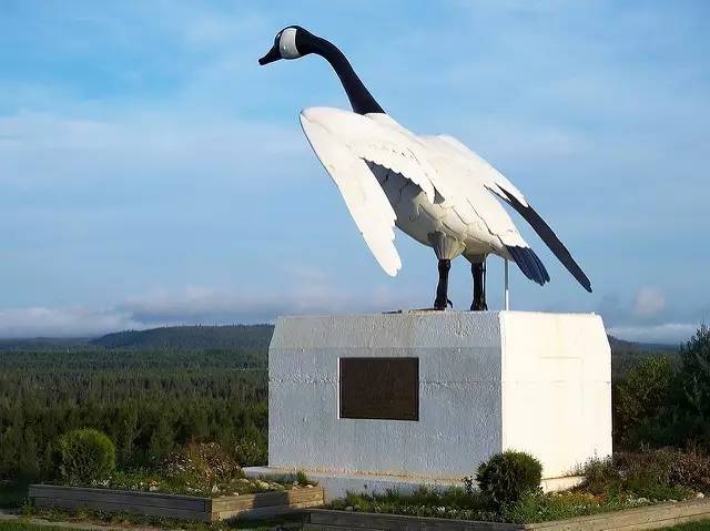 这个暑假来加拿大，有什么freestyle的新玩法？