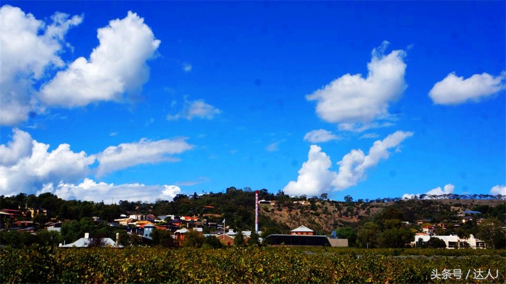 澳洲阿德莱德vs悉尼fc,阿德莱德对澳洲悉尼