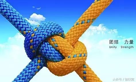 从a到z你选什么,从a到z的蜕变