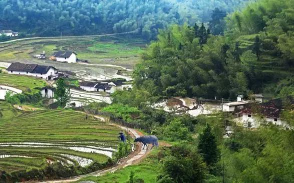 有一种生活叫田园生活,向往农村的田园生活的说说