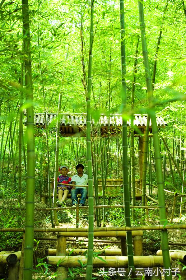 云南玉溪峨山彝人谷万亩竹海竹炭,彝人谷竹海攻略