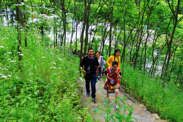 玉龙洞，那根一亿元的“定海神针”咋样了？