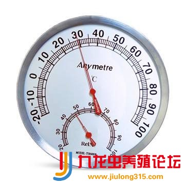 九龙虫怎么养和吃法,养九龙虫怎么处理幼虫