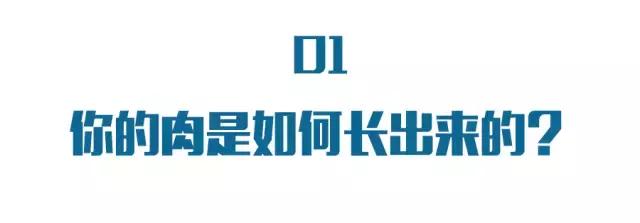 如果想变瘦的话该怎么吃,要怎么吃才会变瘦