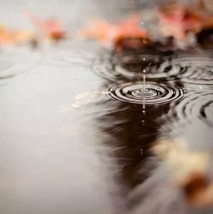 年少无知,一个单纯男孩儿的情殇梦魇