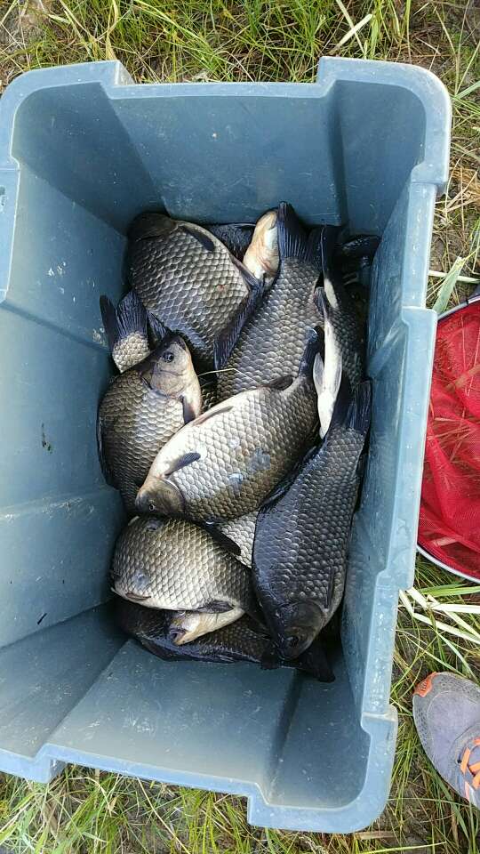 与佳小药有效吗,与佳小药好用不