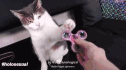 编辑部指尖陀螺挑战赛，她们到底能坚持几秒？