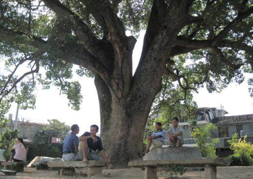 奶水太多怎么办吃什么能减少奶量,奶水太多怎么处理