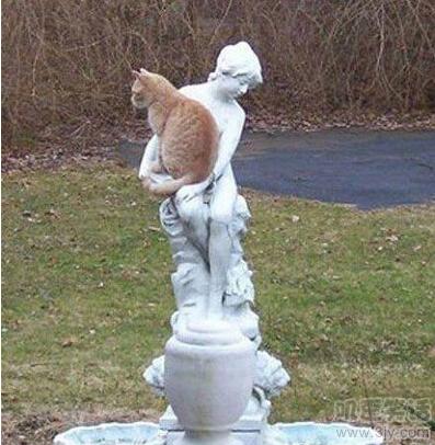 舔第二碗时，丈母娘拉我的手说：放这儿吧！等下我来洗