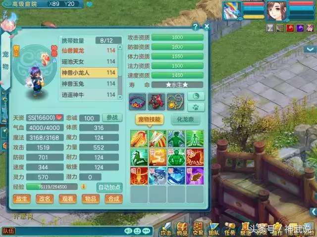 神武109魔王要什么属性,神武2