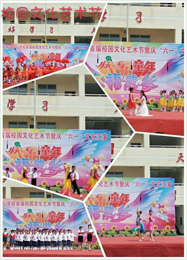 张桥中心小学上海,张桥乡中心小学简介