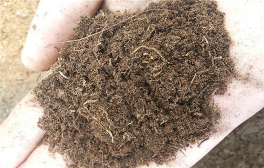 全营养土种的花容易死,养花的营养土可以直接种花吗