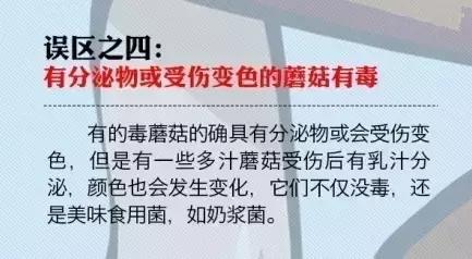 文山有多少人野生菌中毒,文山一家人吃野生菌中毒事件