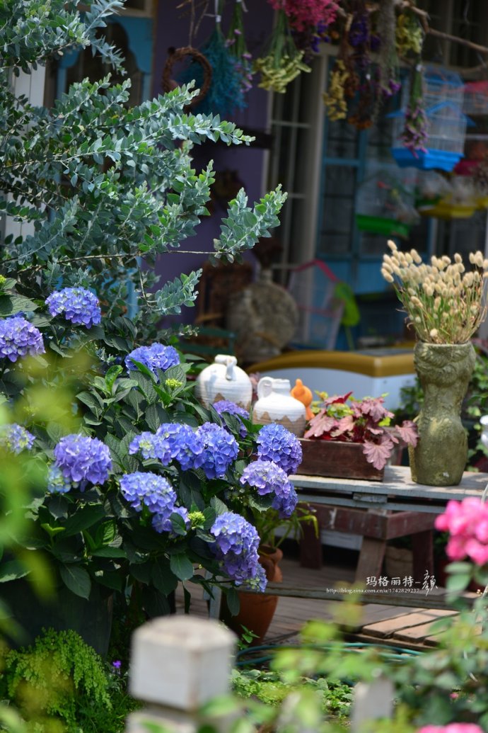 花园拜访,成都玛莉亚色彩花园电话