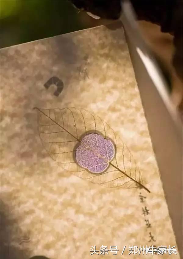 最美十张大学录取通知书，有你心仪的高校吗？