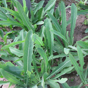 不想花钱又想省钱怎么办,不想花钱就减肥