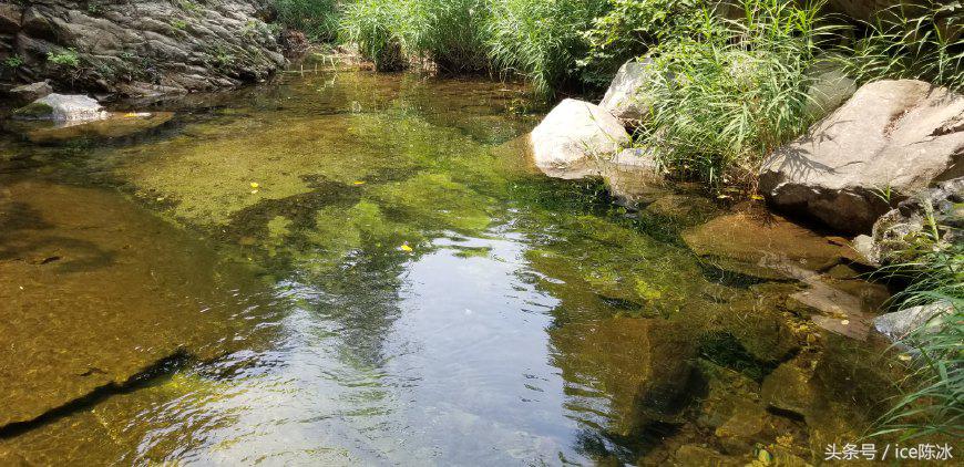 华为防水手环有哪几款,华为手环4pro防水吗能在水里游吗