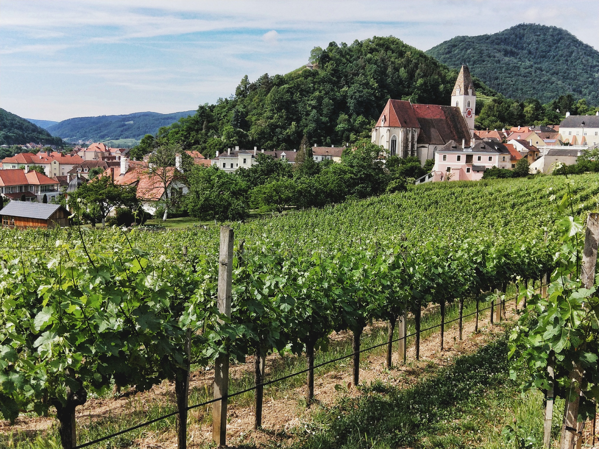 旅游风景手机怎么拍出高级感,旅游产品如何打造爆品