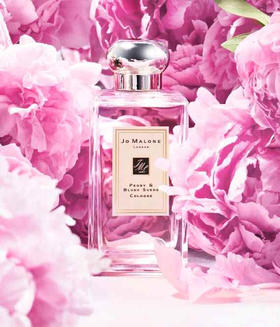 霍球-气味相投，选朋友很好，但别用在香水上