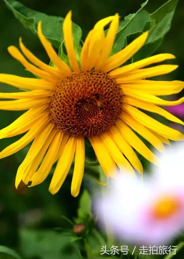 滁州游玩攻略潮玩街区,滁州最值得玩的地方