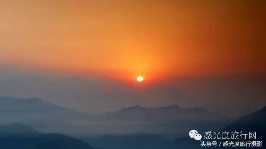 尼泊尔国歌唯一百花盛开的国度,尼泊尔百花图片