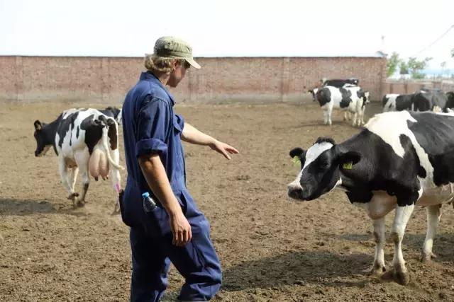 蒙牛航天品质,蒙牛的企业使命和愿景