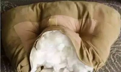 沙发垫子塌陷修复小技巧,简单沙发塌陷修复