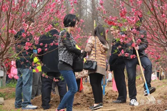 七星岩景区桃花,肇庆七星岩的桃花是什么颜色的