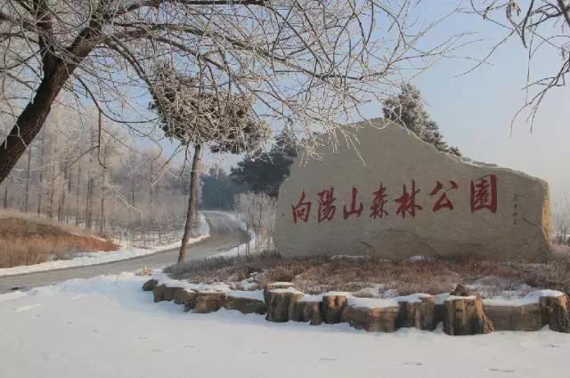 perfect完美,perfect完美抖音团购