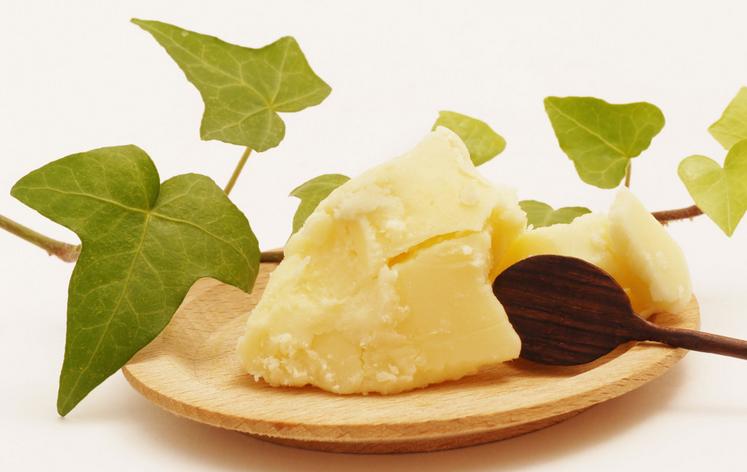 《奶酪陷阱》之我的“奶酪情”