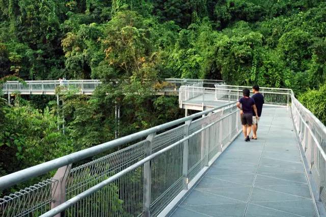 新加坡北部环线徒步,新加坡徒步海岛