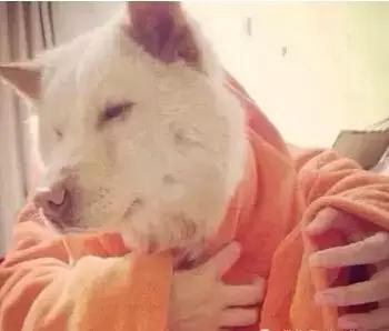 想在天津找个老婆有哪些方法,在天津想找到一个人需要什么