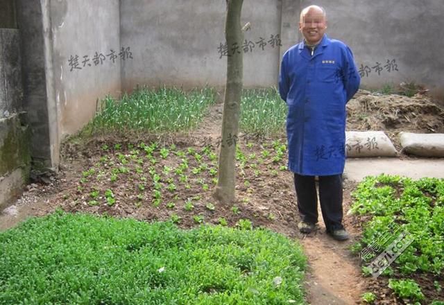 今日武汉|武汉明天迎寒潮；世卫组织：避孕套可能致癌