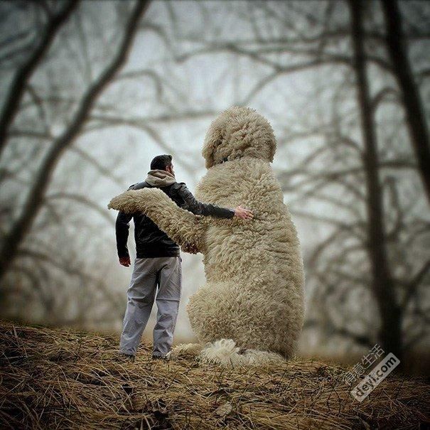 今日武汉|武汉明天迎寒潮；世卫组织：避孕套可能致癌