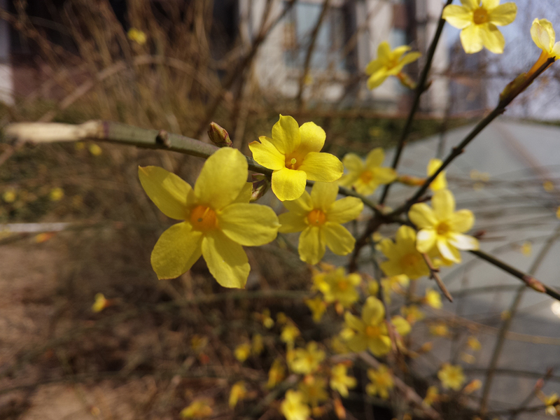 美图手机v4美颜,美图v6拍照神器