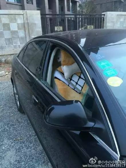 深夜出没砸车盗窃,城事事件是什么