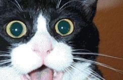 天气预报未来三天鹤壁,鹤壁41天天气