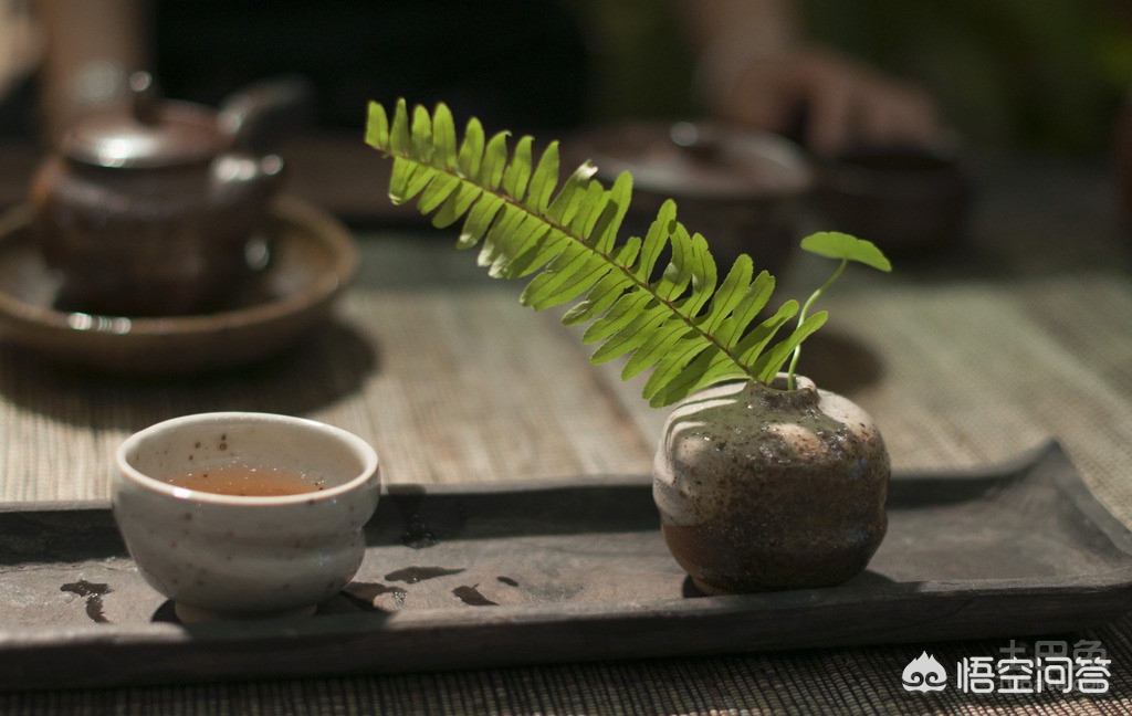 想自己写歌需要什么,如果想写歌怎么办