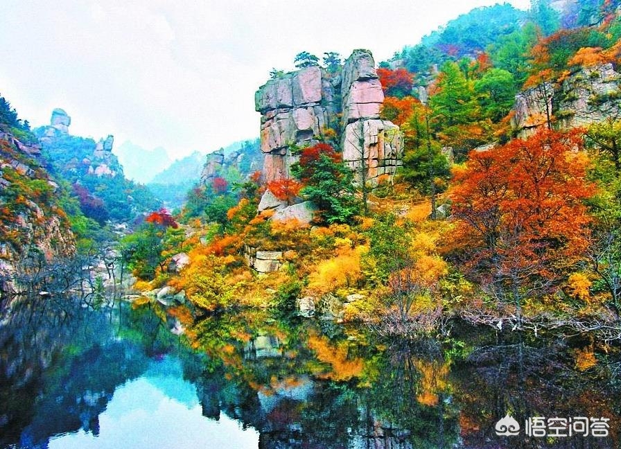 青岛到底是一个怎样的城市,青岛是一个很不错的城市