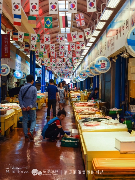 跟着RM探寻济州东门市场