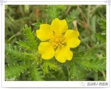 高考如何错开月经时间,高考与月经相遇怎么办