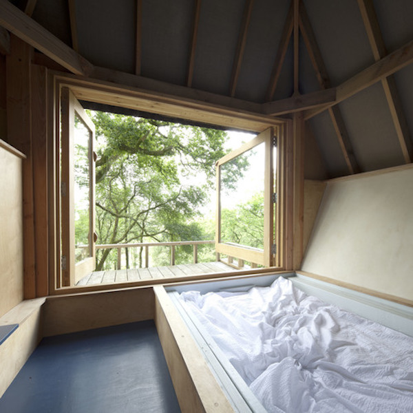 全球十大树屋排名,全球有趣树屋一览