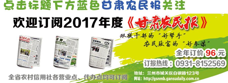 兰洽会特色产品,兰洽会主要活动