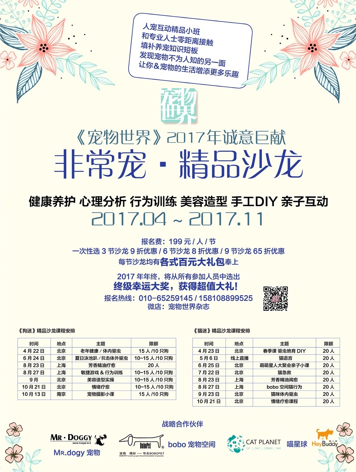 坐舔、跪舔、躺着舔……喵为什么这么爱舔毛？丨行为