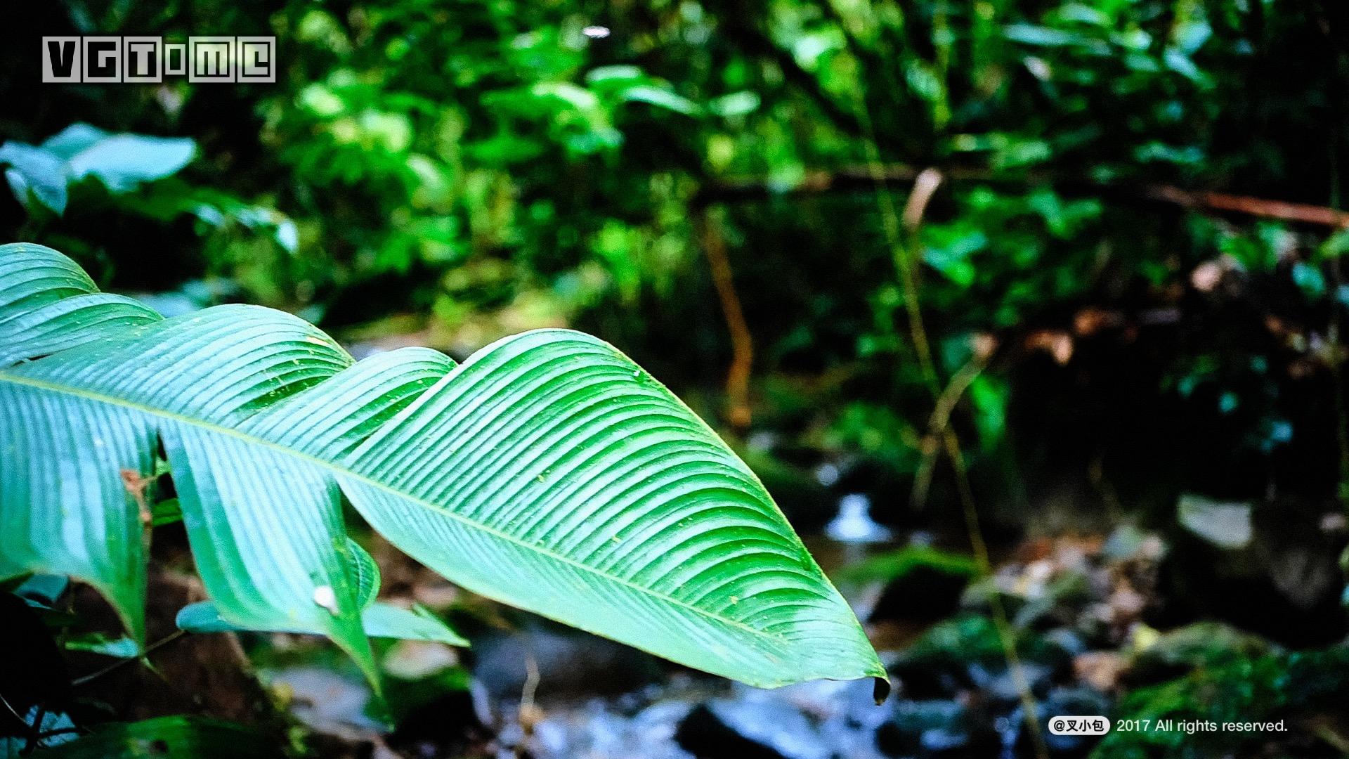 索尼4k电视哪个系列好,未来已来高清