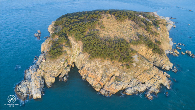 青岛上榜“最受追捧海洋游目的地”“7月份最佳避暑旅游城市”！是的，来青岛避暑就对了！