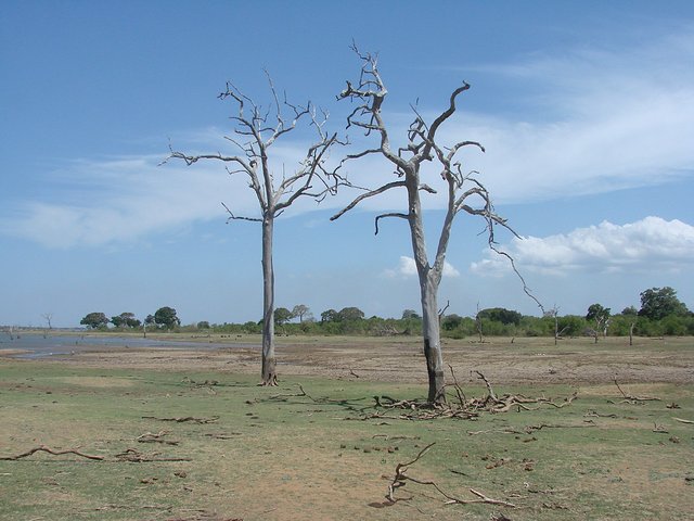在斯里兰卡旅游必做的10件事,在斯里兰卡的难忘旅行经历